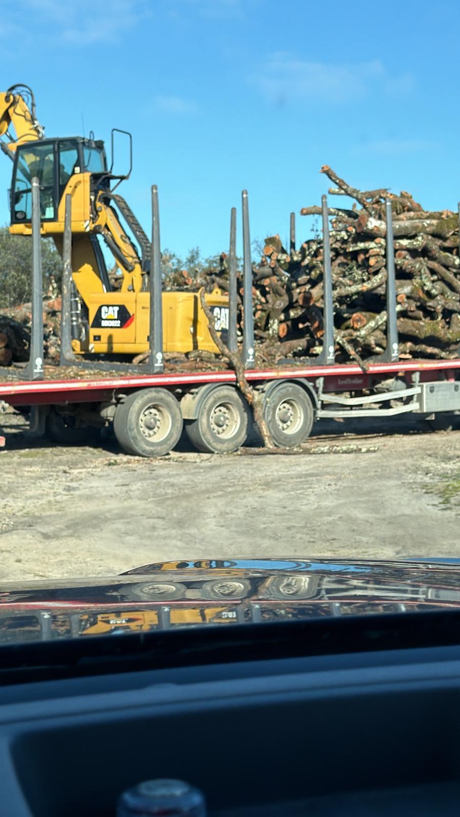 Trabajos forestales