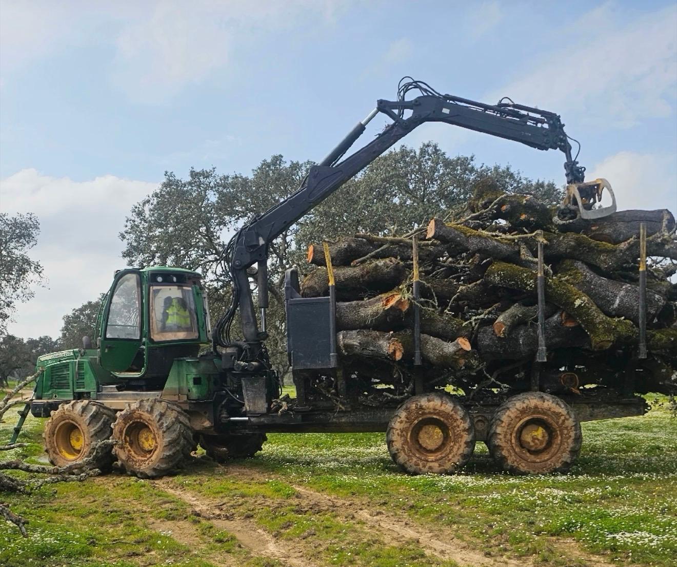 Producción de carbón vegetal