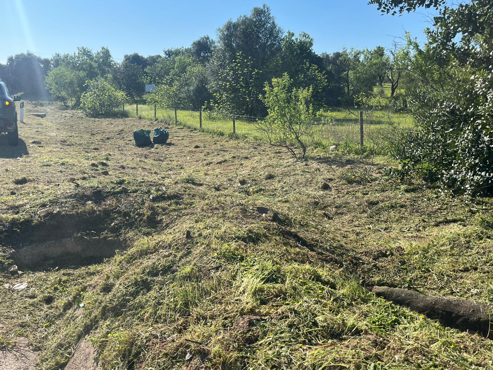terreno